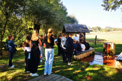 IMG_20260929_105408