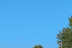 20261001_111024